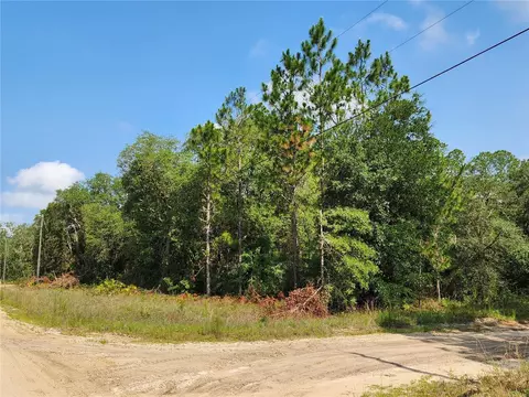 Dines Avenue, Interlachen, FL 32148