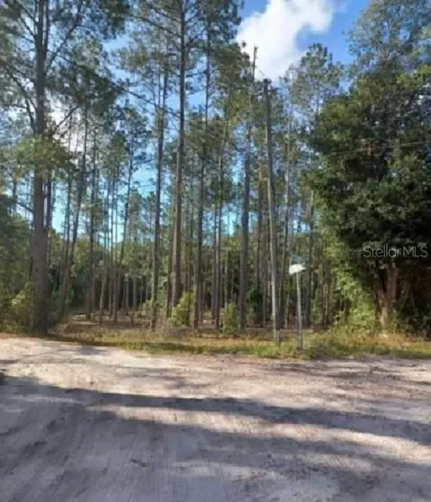 tbd SW Corner Sw95 Avesw 158 Ln, Dunnellon, FL 34432