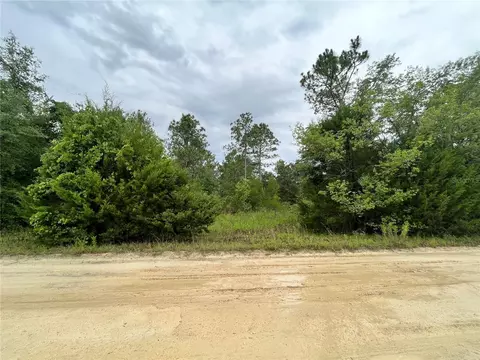 6 Southwest 60th Avenue, Ocala, FL 34481