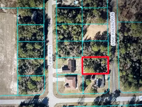 Pine Radial Run, Ocala, FL 34472