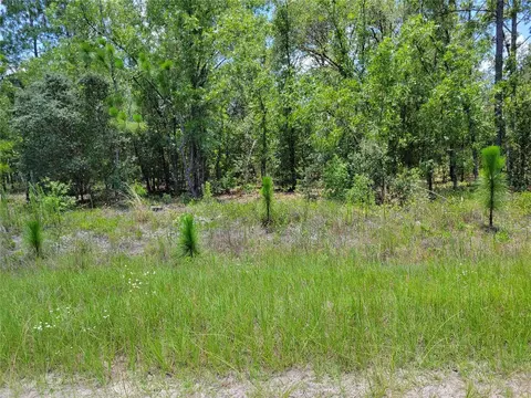 SW 78 Place, Dunnellon, FL 34432