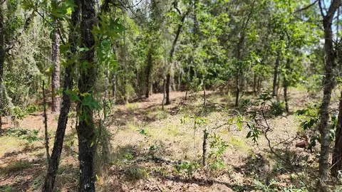 Lot 2 SW 61st Place Road, Ocala, FL 34481