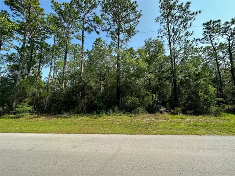 SW 27th St, Dunnellon, FL 34432