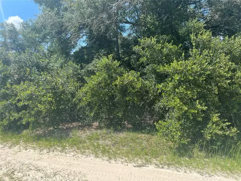 Tbd Sw 103rd Place, Dunnellon, FL 34432