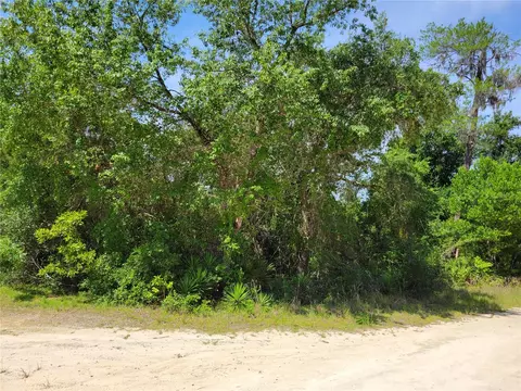 NE 152nd Lane, Salt Springs, FL 32134