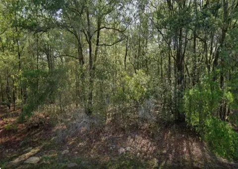 8731 N Sandree Dr, Citrus Springs, FL 34433