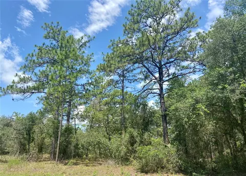 Lot 22 SW 206 Avenue, Dunnellon, FL 34431