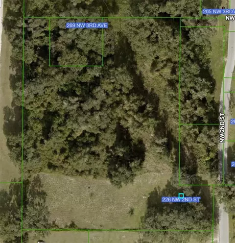 226 NW 2nd St, Webster, FL 33597