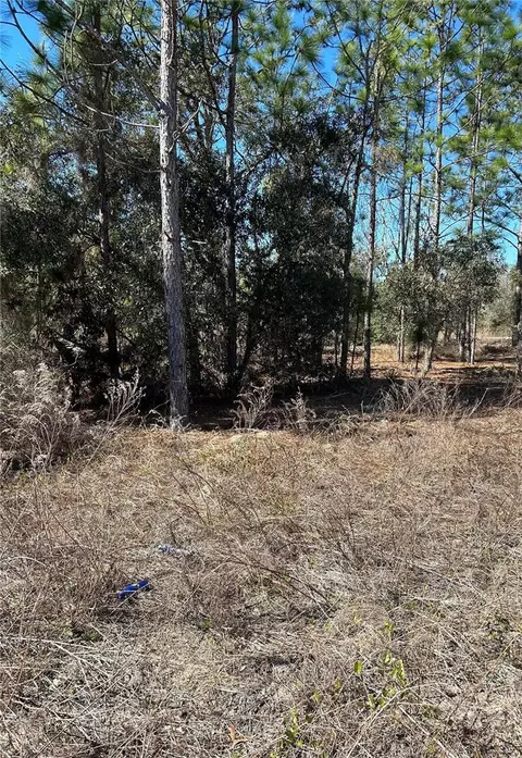tbd Evergreen Ct, Dunnellon, FL 34431