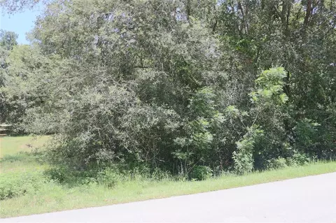 00 SE 156th St, Summerfield, FL 34491