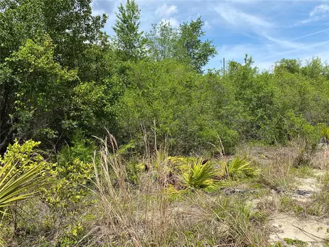 0001 73rd Ter NE, Citra, FL 32113