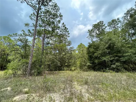 Tbd SE 163rd Court, Morriston, FL 32668