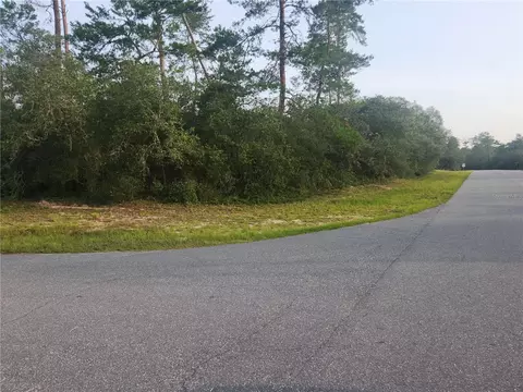 Tbd Sw 18th St, Ocala, FL 34473