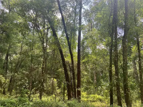 Lot 9 SW 188 Avenue Avenue, Dunnellon, FL 34432