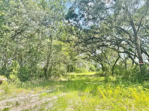 Tbd SW 156th Place, Dunnellon, FL 34432