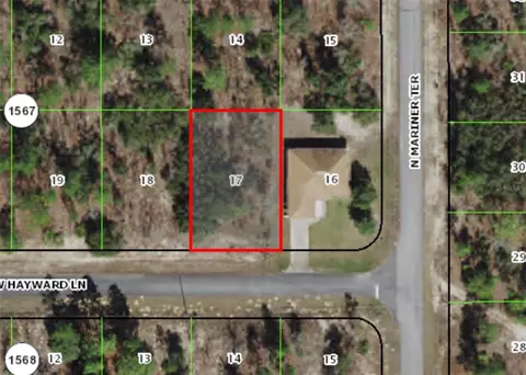 3373 W Hayward Ln, Citrus Springs, FL 34433