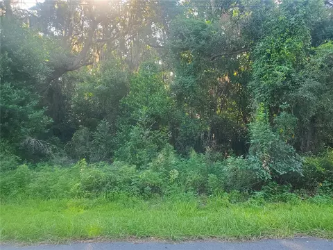 tbd Larch Course Ter, Ocala, FL 34480