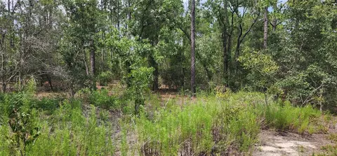 Tbd SW Indian Hill Drive, Dunnellon, FL 34431