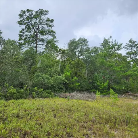 Tbd SW 48 Circle, Ocala, FL 34473