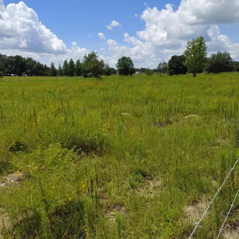 0 County Rd 478-a, Webster, FL 33597