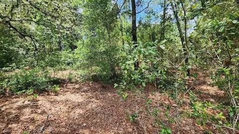 Lot 38 SE 99th Court, Summerfield, FL 34491