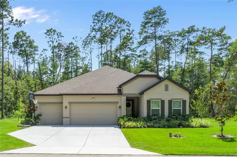 3 Petunias Ct, Homosassa, FL 34446