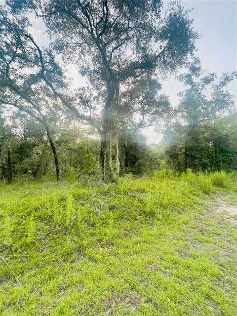 Tbd SW Remora Lane, Dunnellon, FL 34431