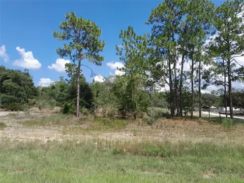 2191 SE State Road 121, Morriston, FL 32668