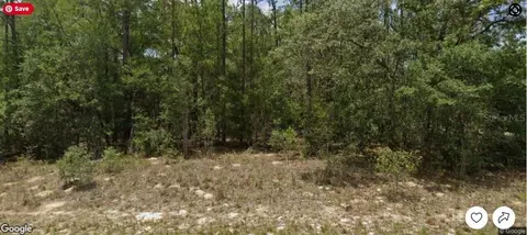 8698 N Bambury Ter, Citrus Springs, FL 34434