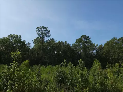 13230 SW 18th Street Rd, Ocala, FL 34481