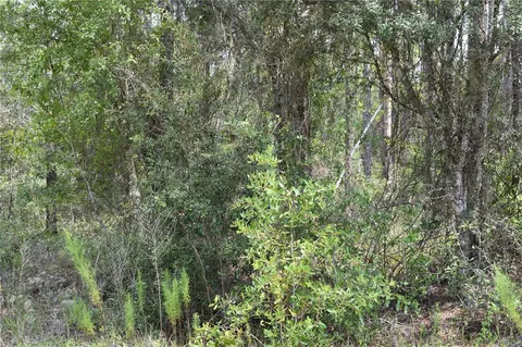 Lot 16 SW White Sands Road, Dunnellon, FL 34431