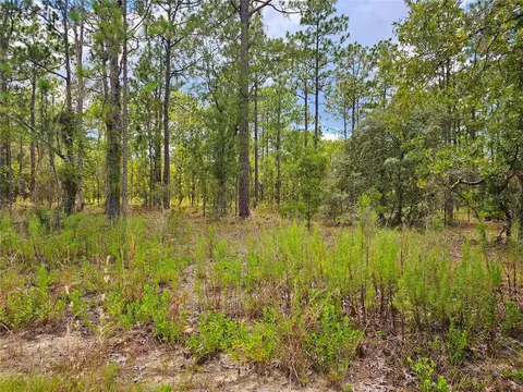 SW Winding Hills, Dunnellon, FL 34431