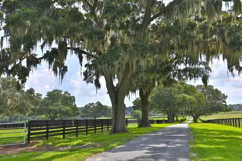 Other - 13450 NW Gainesville Rd, Reddick, FL 32686 photo 4 of 37