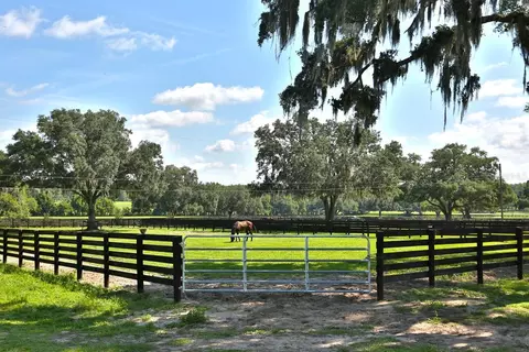 Other - 13450 NW Gainesville Rd, Reddick, FL 32686 photo 14 of 37