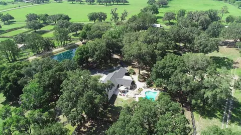 View/Area - 13450 NW Gainesville Rd, Reddick, FL 32686 photo 15 of 17
