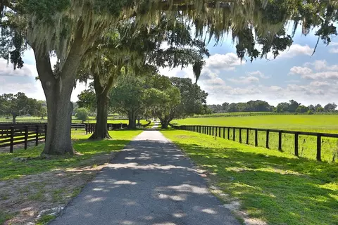 Other - 13450 NW Gainesville Rd, Reddick, FL 32686 photo 16 of 37