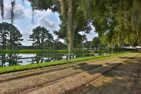 Other - 13450 NW Gainesville Rd, Reddick, FL 32686 photo 19 of 37