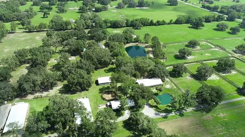 View/Area - 13450 NW Gainesville Rd, Reddick, FL 32686 photo 7 of 17