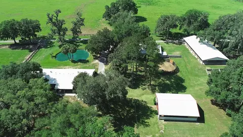 View/Area - 13450 NW Gainesville Rd, Reddick, FL 32686 photo 12 of 17