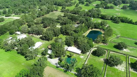 View/Area - 13450 NW Gainesville Rd, Reddick, FL 32686 photo 6 of 17
