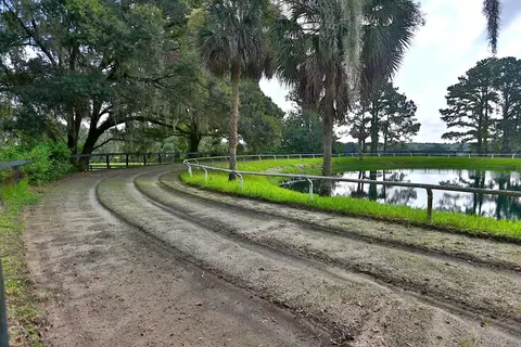 Other - 13450 NW Gainesville Rd, Reddick, FL 32686 photo 20 of 37