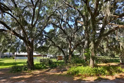 Exterior - 13450 NW Gainesville Rd, Reddick, FL 32686 photo 1 of 22