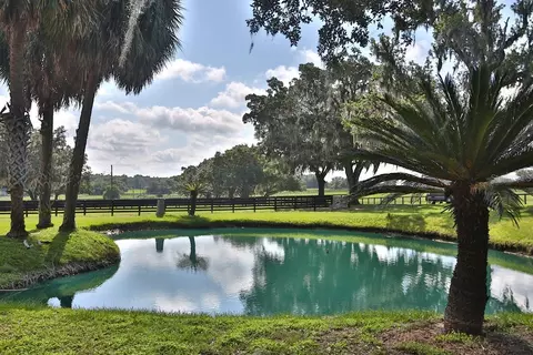 View/Area - 13450 NW Gainesville Rd, Reddick, FL 32686 photo 2 of 17