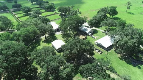 View/Area - 13450 NW Gainesville Rd, Reddick, FL 32686 photo 8 of 17