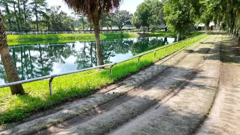 View/Area - 13450 NW Gainesville Rd, Reddick, FL 32686 photo 17 of 17