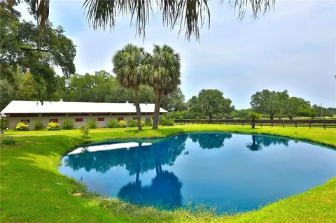 Other - 13450 NW Gainesville Rd, Reddick, FL 32686 photo 37 of 37