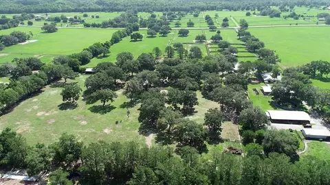 View/Area - 13450 NW Gainesville Rd, Reddick, FL 32686 photo 14 of 17