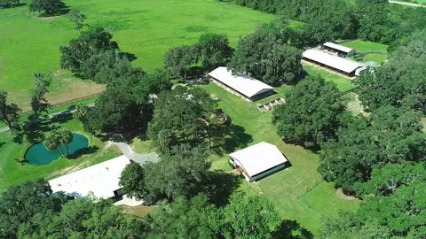 View/Area - 13450 NW Gainesville Rd, Reddick, FL 32686 photo 9 of 17