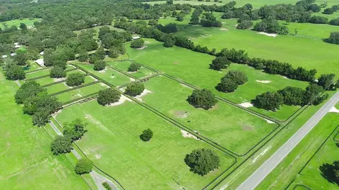 View/Area - 13450 NW Gainesville Rd, Reddick, FL 32686 photo 4 of 17