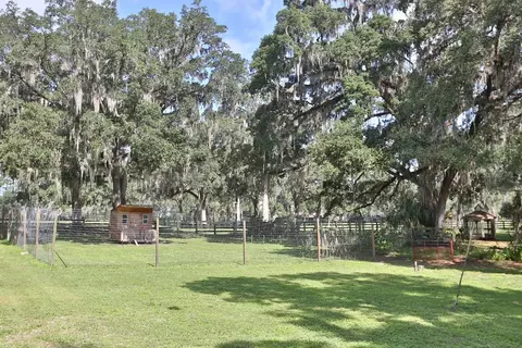 Exterior - 13450 NW Gainesville Rd, Reddick, FL 32686 photo 4 of 22